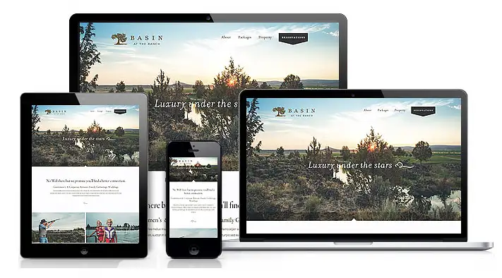 Responsive website development displayed across desktop, tablet, and mobile devices