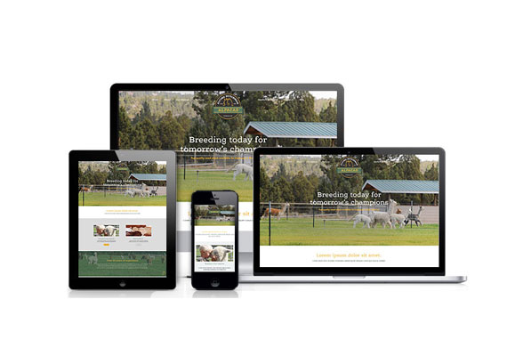 Flying Dutchman Alpacas was designed by Studio Absolute and developed by GelFuzion as part of our agency partnership. The site was built using Adobe Business Catalyst and is fully responsive.